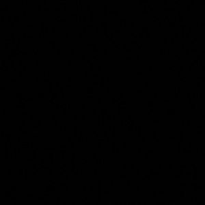 Meet your Posher, Savannah